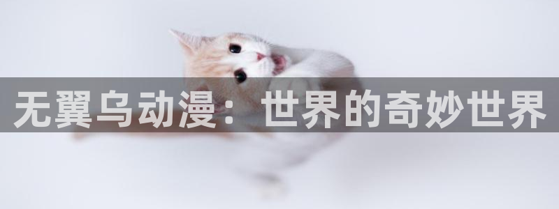 一念永恒免费观看完整版樱花动漫