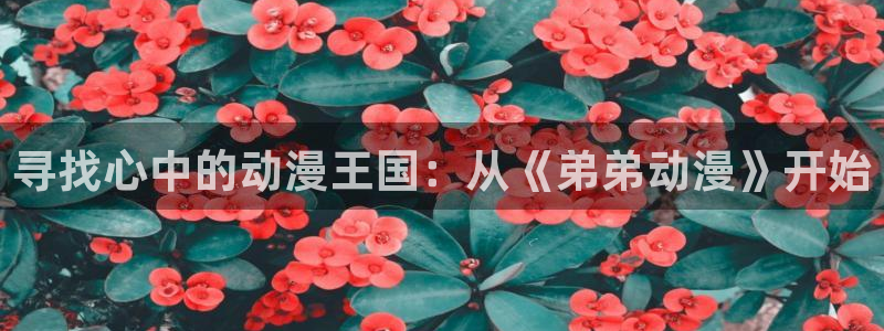 出包王女第4季樱花动漫：寻找心中的动漫王国：从《弟弟动漫》开始